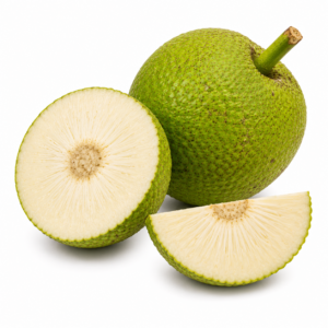 Fruta Pão Raiz