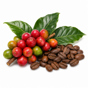 Café
