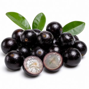 Jabuticaba Híbrida